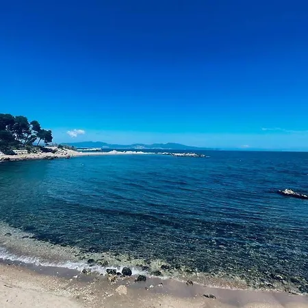 Gandaia *